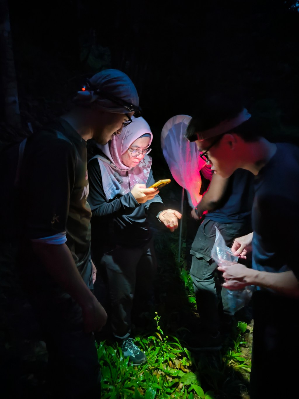 660 m above sea level